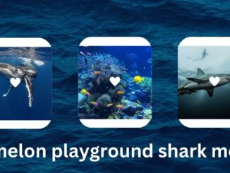 melon playground shark mod
